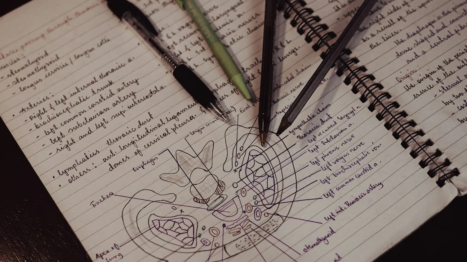 A handwritten notebook with biology study notes