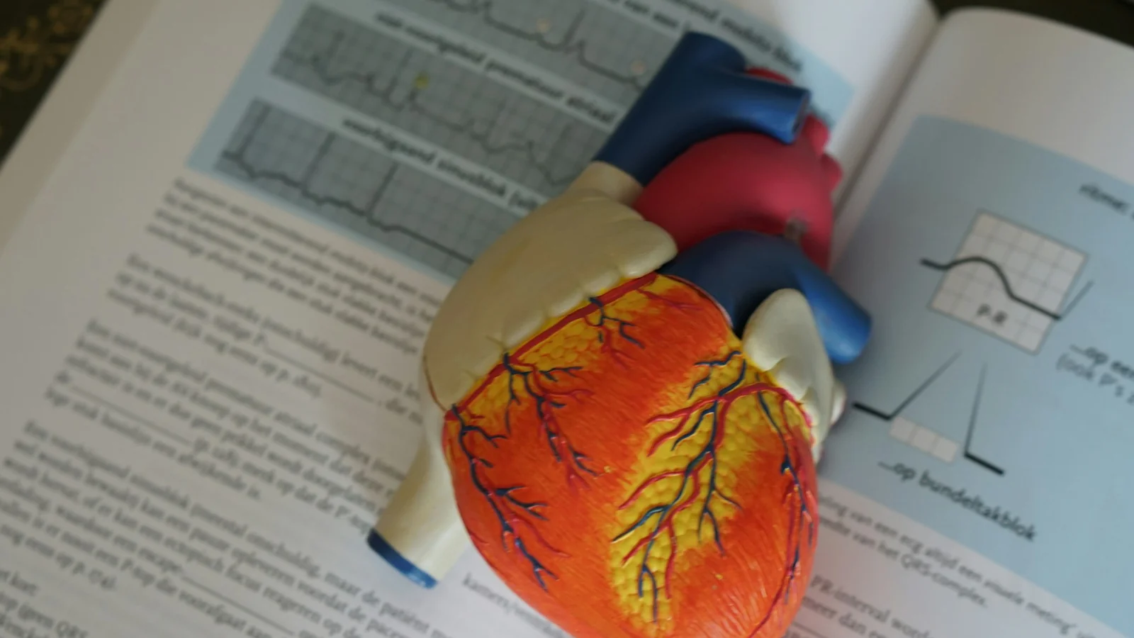 An open biology textbook showing a detailed human heart anatomy illustration